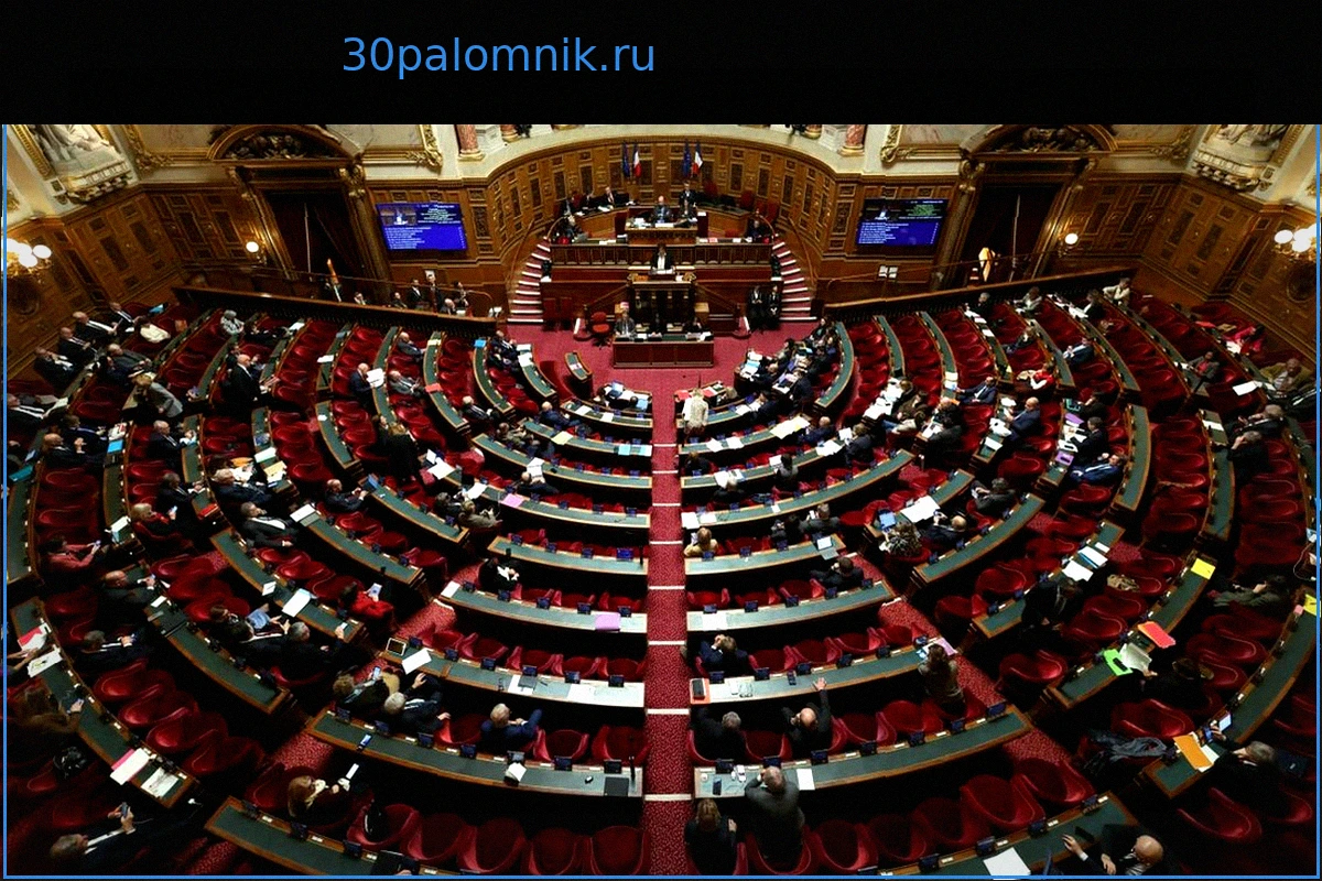 Сенат Франции отклонил ключевую статью закона о праве на ассистированную смерть