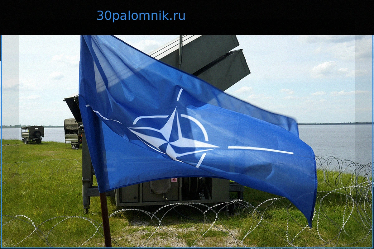 НАТО призвали не реагировать чрезмерно на инциденты с беспилотниками