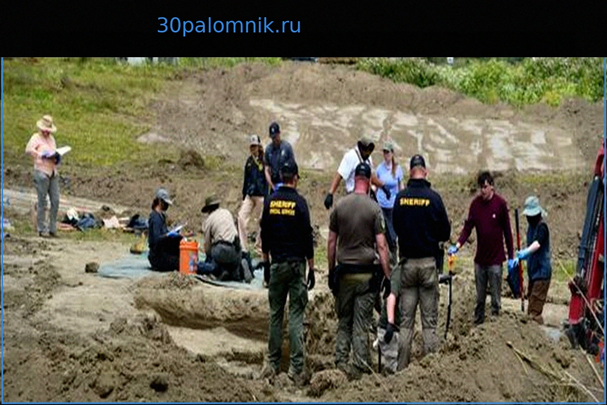 В Калифорнии в приюте "No-Kill" обнаружено не менее 117 мертвых собак
