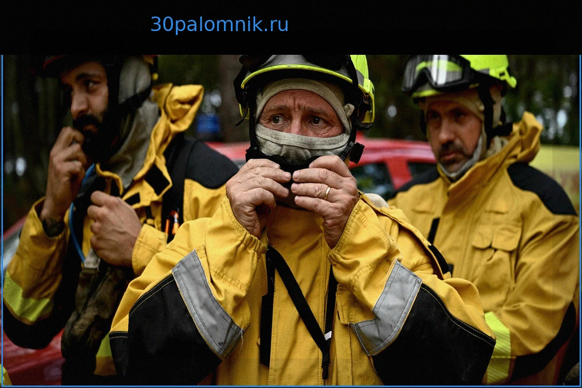 Пожары: почему пожарные устали, когда их называют героями, особенно политики.