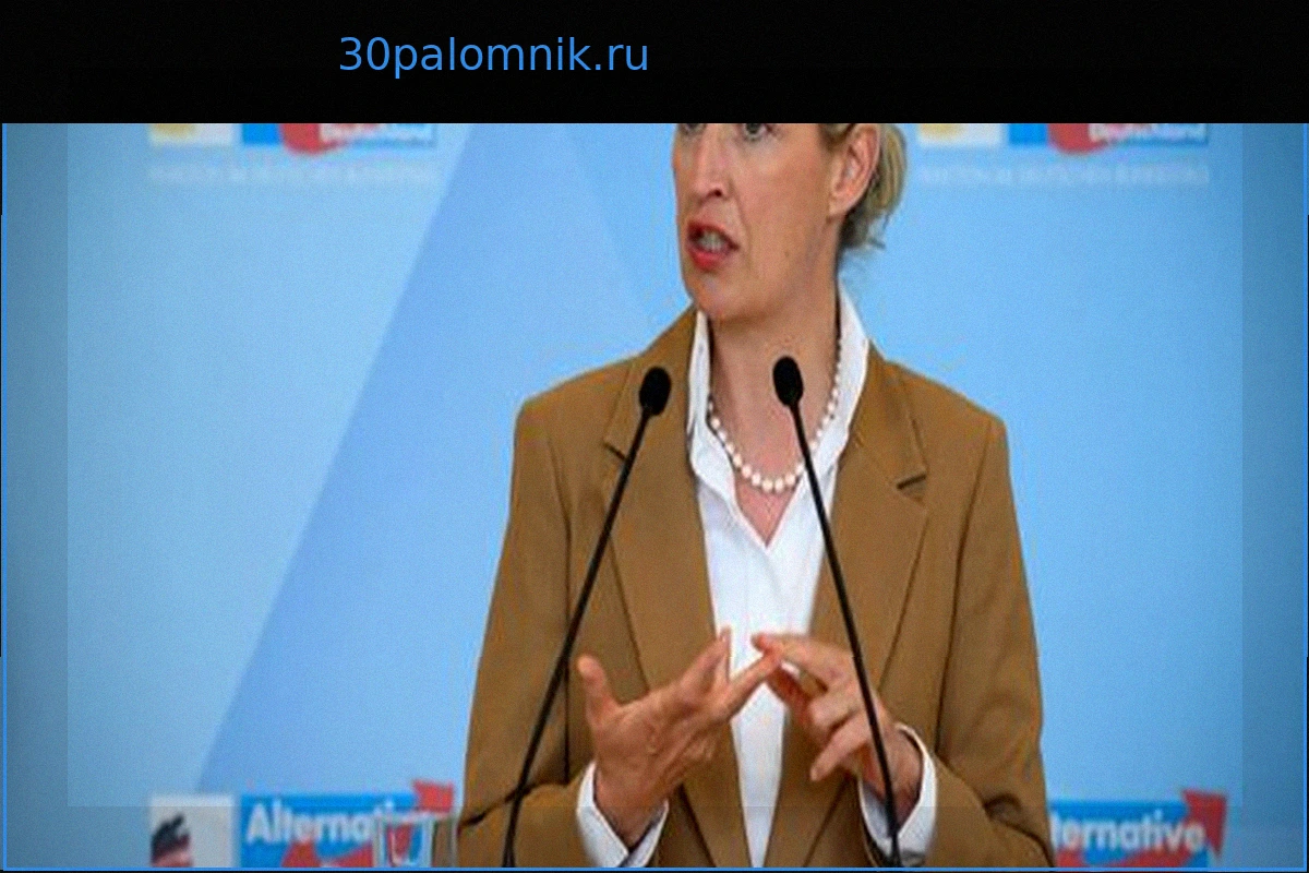 AfD в Северном Рейне-Вестфалии: Дисциплинарное дело против местных политиков