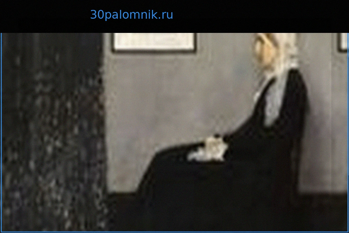 Как картина 1871 года стала неожиданной иконой США