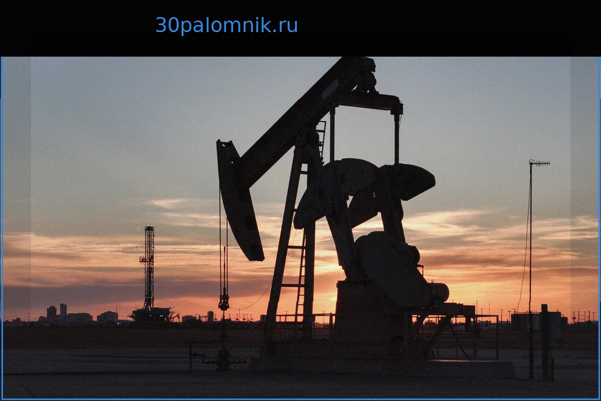 Предсказана цена нефти на ближайший год