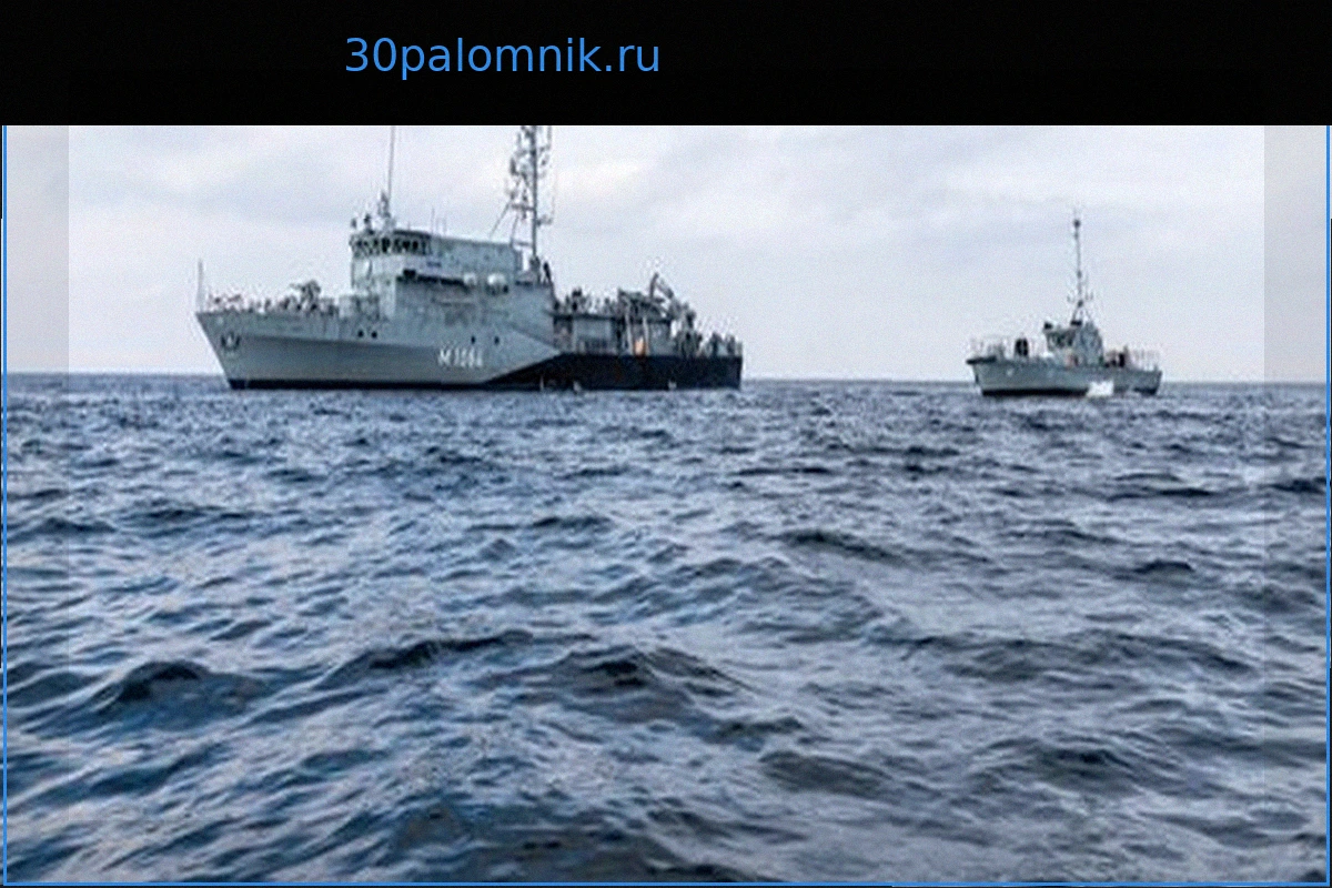 Осторожность в Ормузском проливе: Вадефуль выдвигает условия для европейской миссии