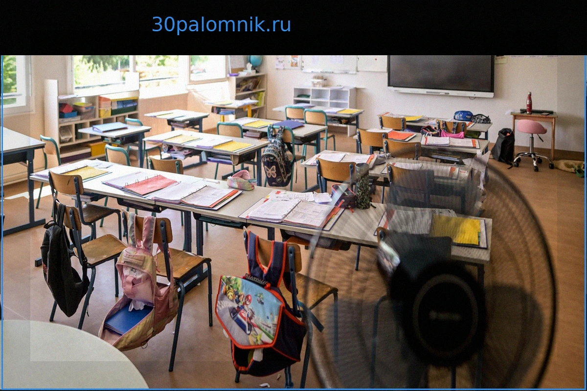 Аномальная жара нарушила работу более 2500 учебных заведений, нарастает недовольство