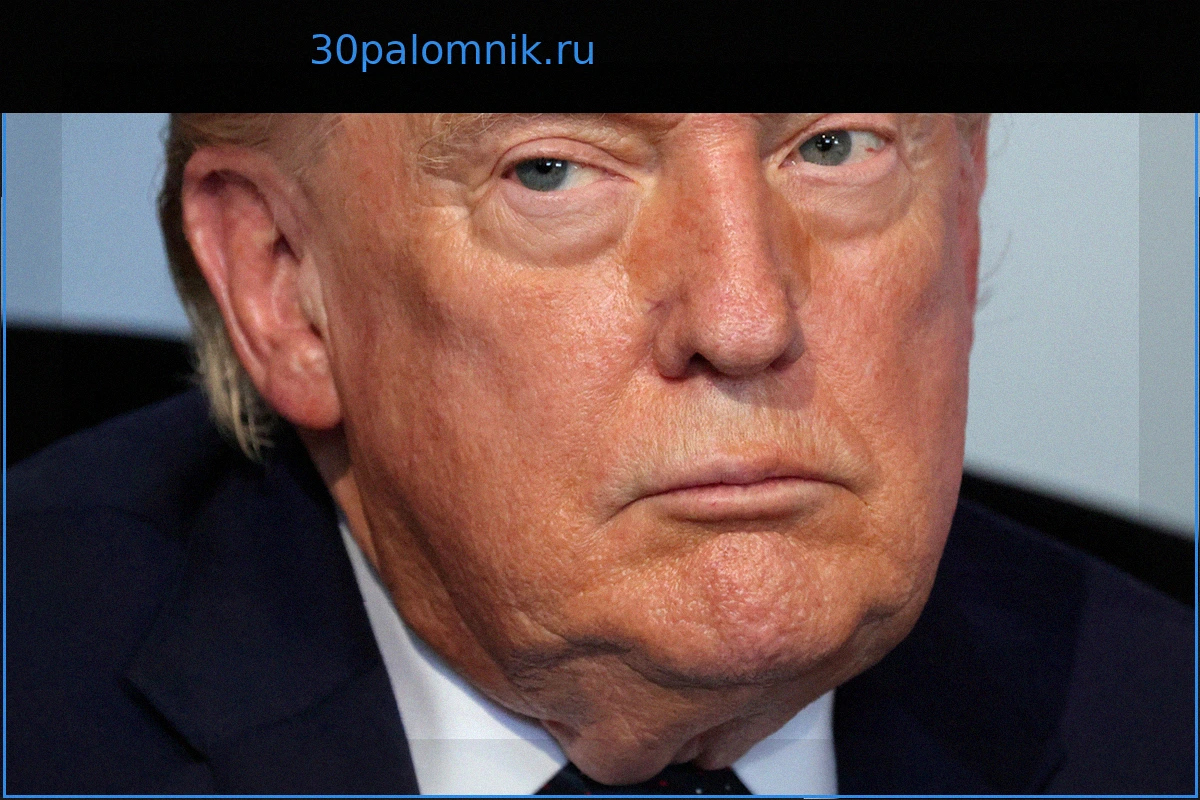 Европа обеспокоена: Трамп готов перехватить инициативу в урегулировании конфликта на Украине