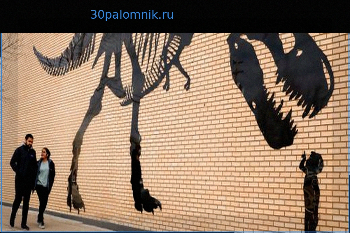 Тираннозавр и другие хищные динозавры: В поисках ответа на загадку коротких передних лап