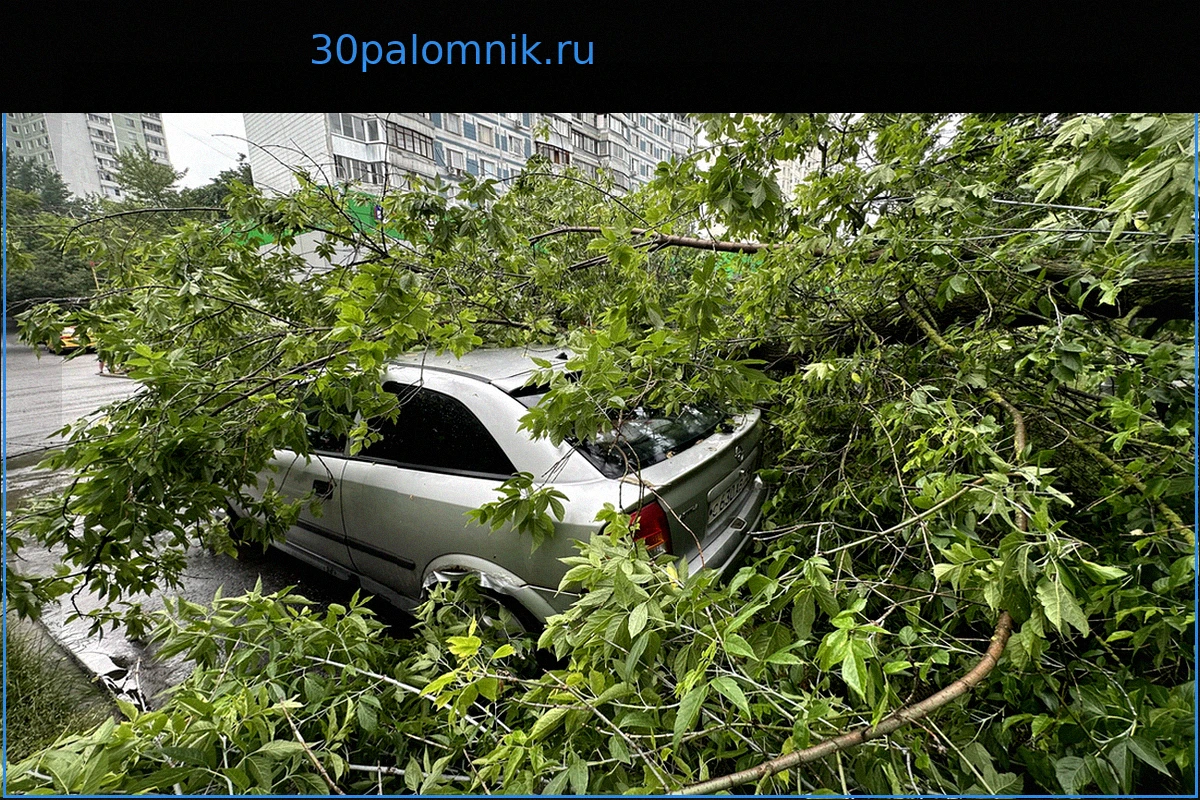 КАСКО – надежная защита автомобиля от непогоды: града, подтоплений и ветра