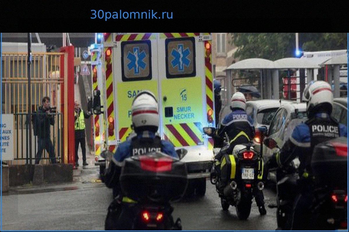 Хантавирус во Франции: Хроника напряженной недели между научными загадками и действиями правительства