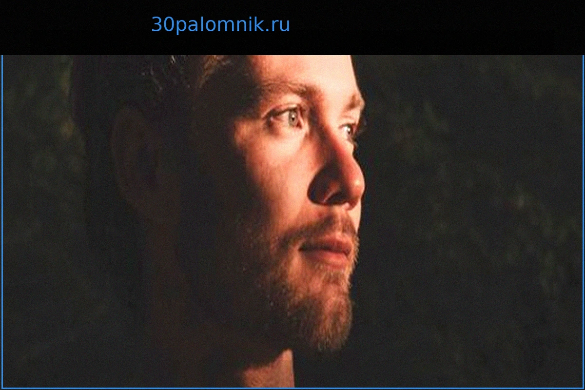 Донорство спермы: «Донор Дэн» и исполнение желаний о детях через соцсети