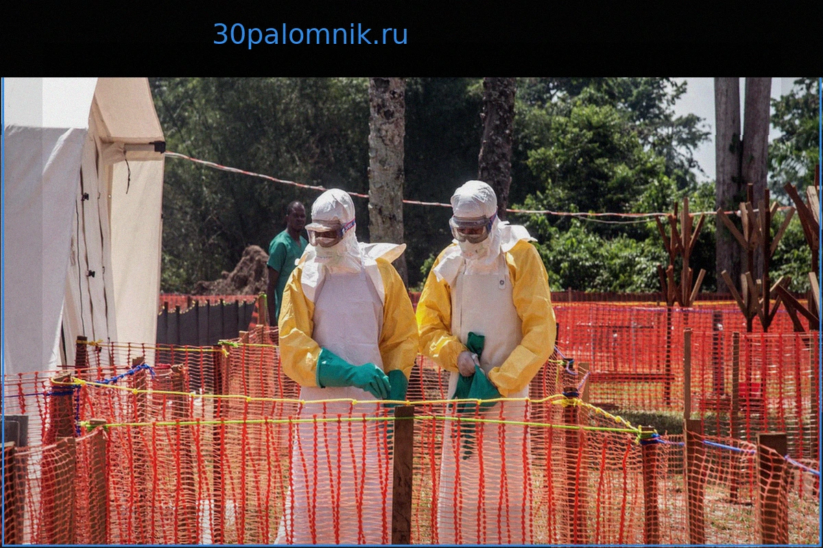 ВОЗ объявила международное чрезвычайное положение из-за Эболы в ДРК: что это означает?