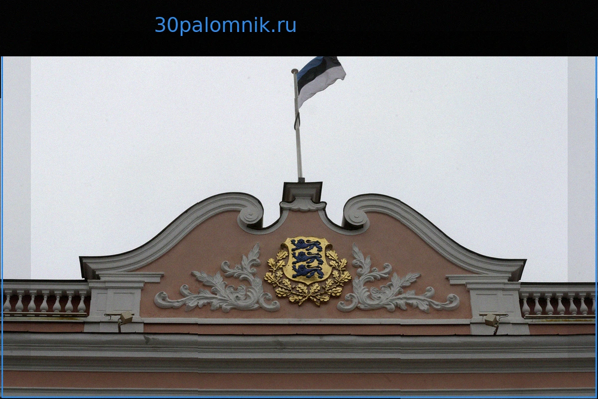 МИД Эстонии видит в мирных переговорах России по Украине попытку Запада «заманить в ловушку»