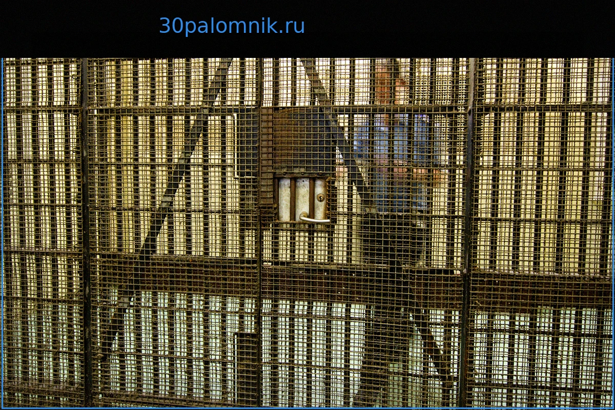 Бывшая офицер Королевского флота Великобритании приговорена к тюремному заключению за сексуальные домогательства к сослуживцам