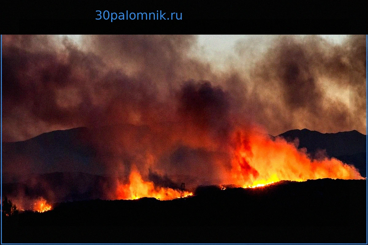 Крупный лесной пожар в Восточных Пиренеях: тысячи гектаров уничтожены, ситуация остается напряженной