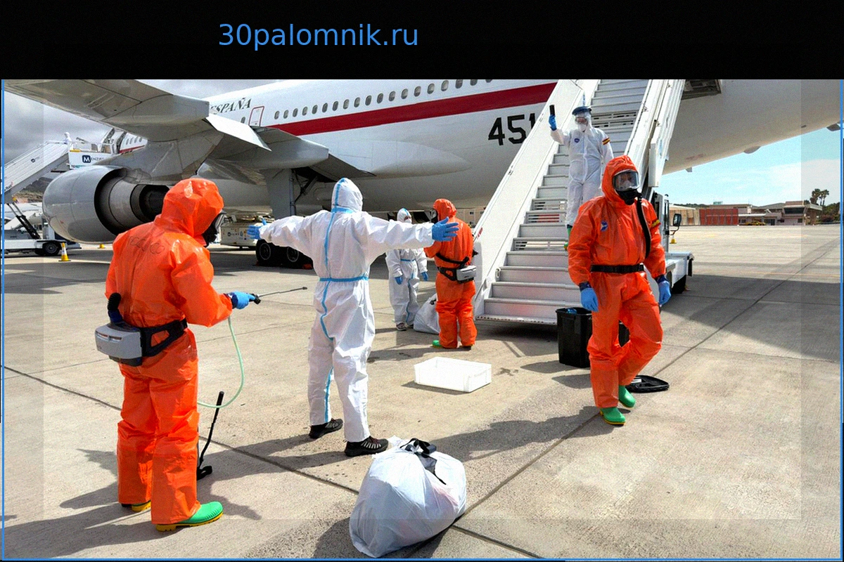 Оценка рисков распространения хантавируса в Европе