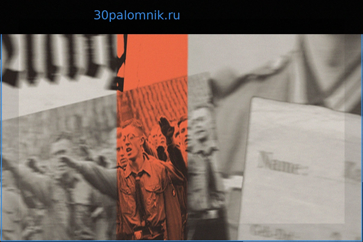 Членство в НСДАП и нацистская картотека: как база данных НСДАП всколыхнула страну