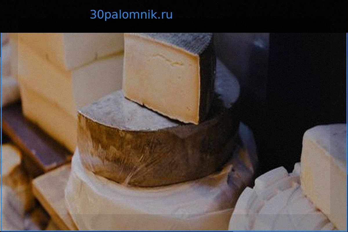 Хорошие Новости Недели: Еда Объединяет, Экология и Веганские Открытия
