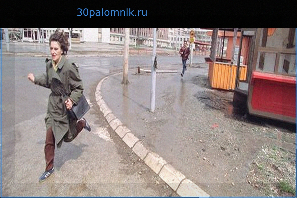 Снайперские убийства в Сараево: "Зелёные" возмущены отсутствием ответов по предполагаемым военным преступлениям