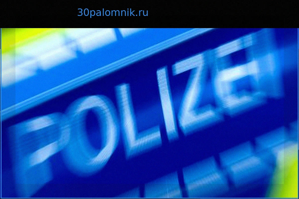 Кёльн: Двое полицейских госпитализированы после нападения на фестивале