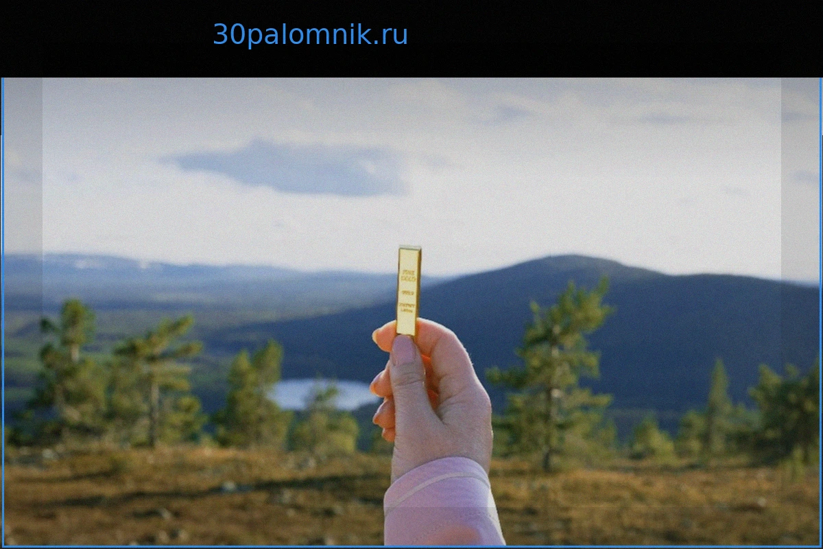 В Финляндии стартует необычная летняя охота за золотом: найдите слиток стоимостью 20 000 евро!