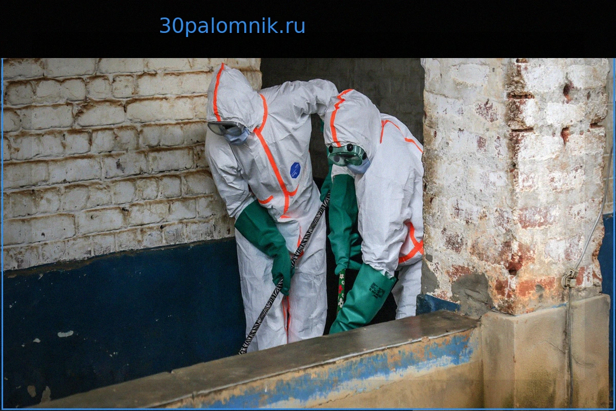 Опасения Эболы побуждают Белый дом усилить меры безопасности к Чемпионату мира