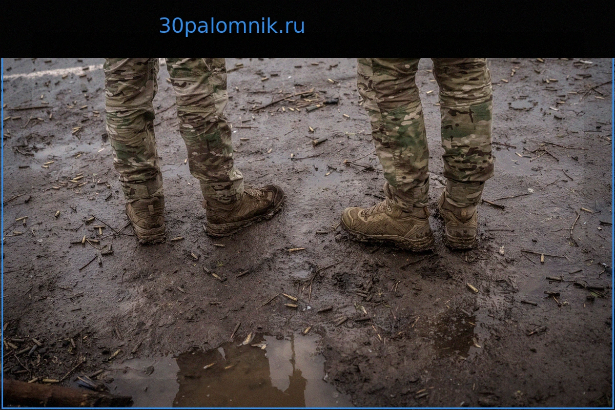Раскрыты ключевые направления скопления иностранных наемников ВСУ