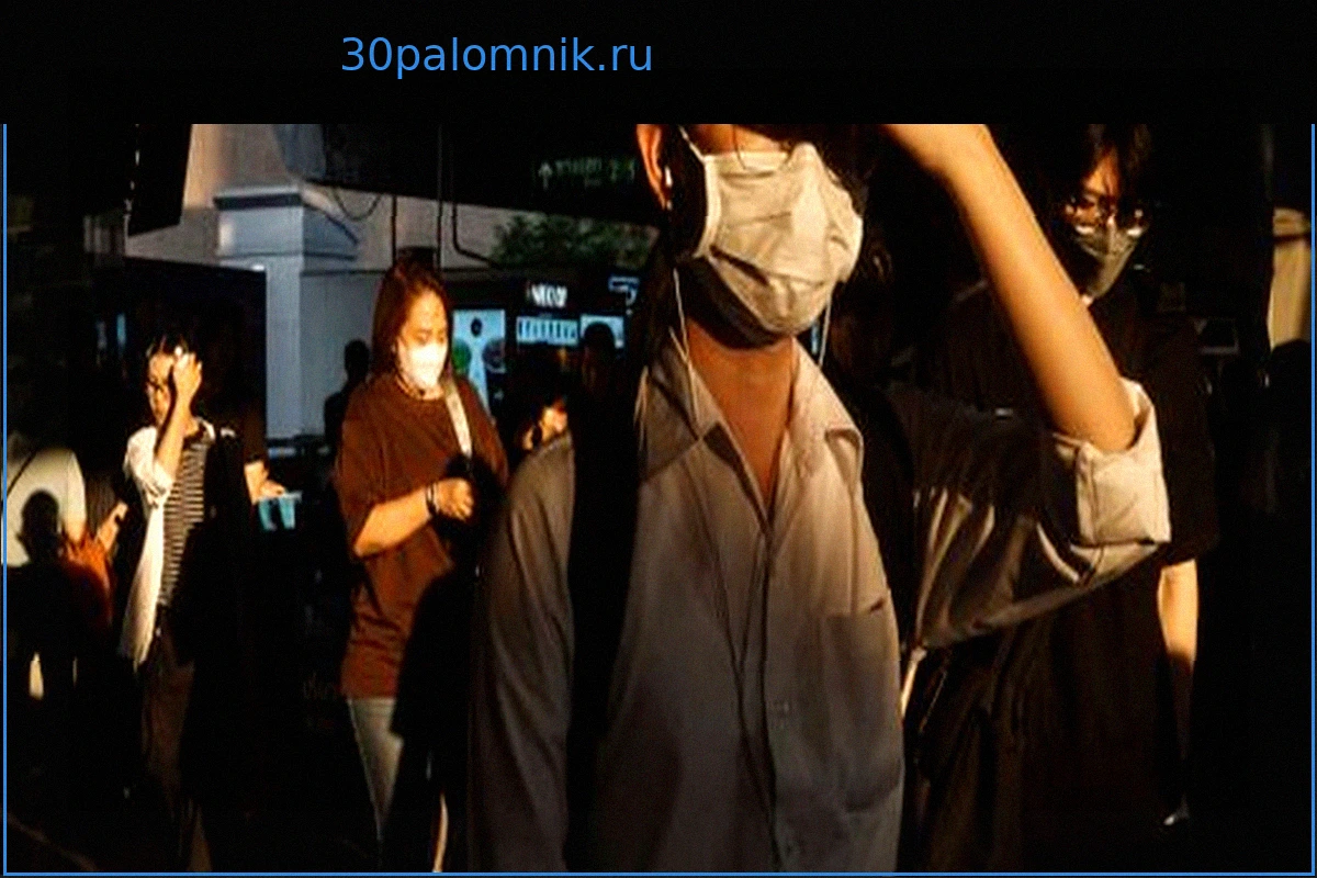 Климатический кризис: Ученые предупреждают об экстремальных лесных пожарах из-за Эль-Ниньо