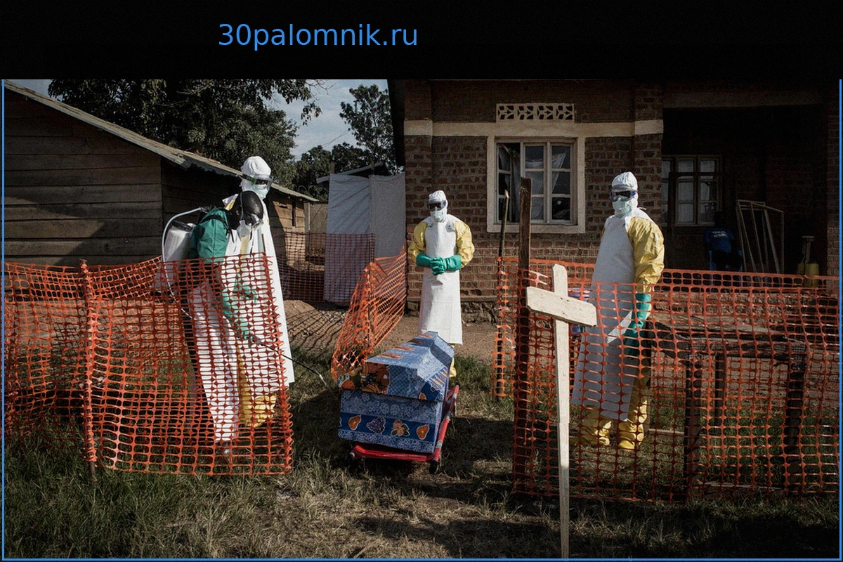 В ДР Конго зафиксирован высоколетальный вариант Эболы, не поддающийся лечению