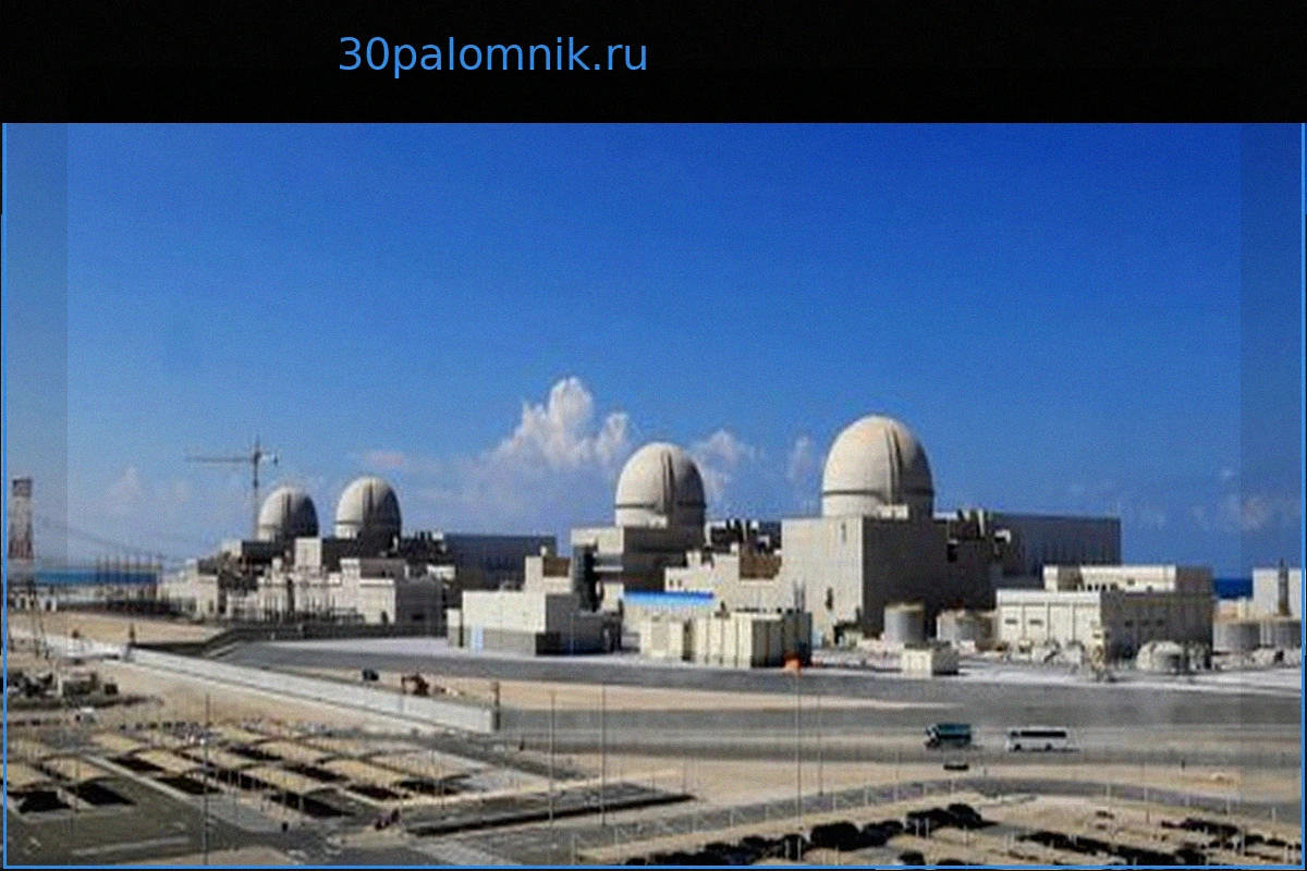 ОАЭ: Атака дрона вызвала пожар на атомной электростанции