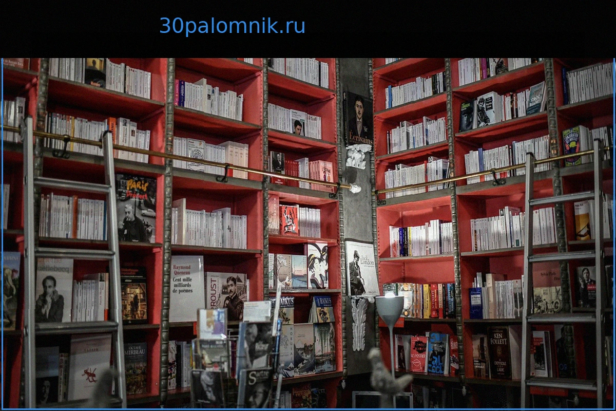 Французские книжные магазины Furet du Nord и Decitre после Gibert также перешли под внешнее управление