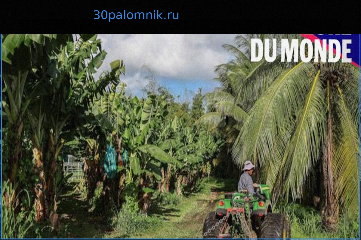 Хлордекон: Кто несет ответственность за отравление Антильских островов?