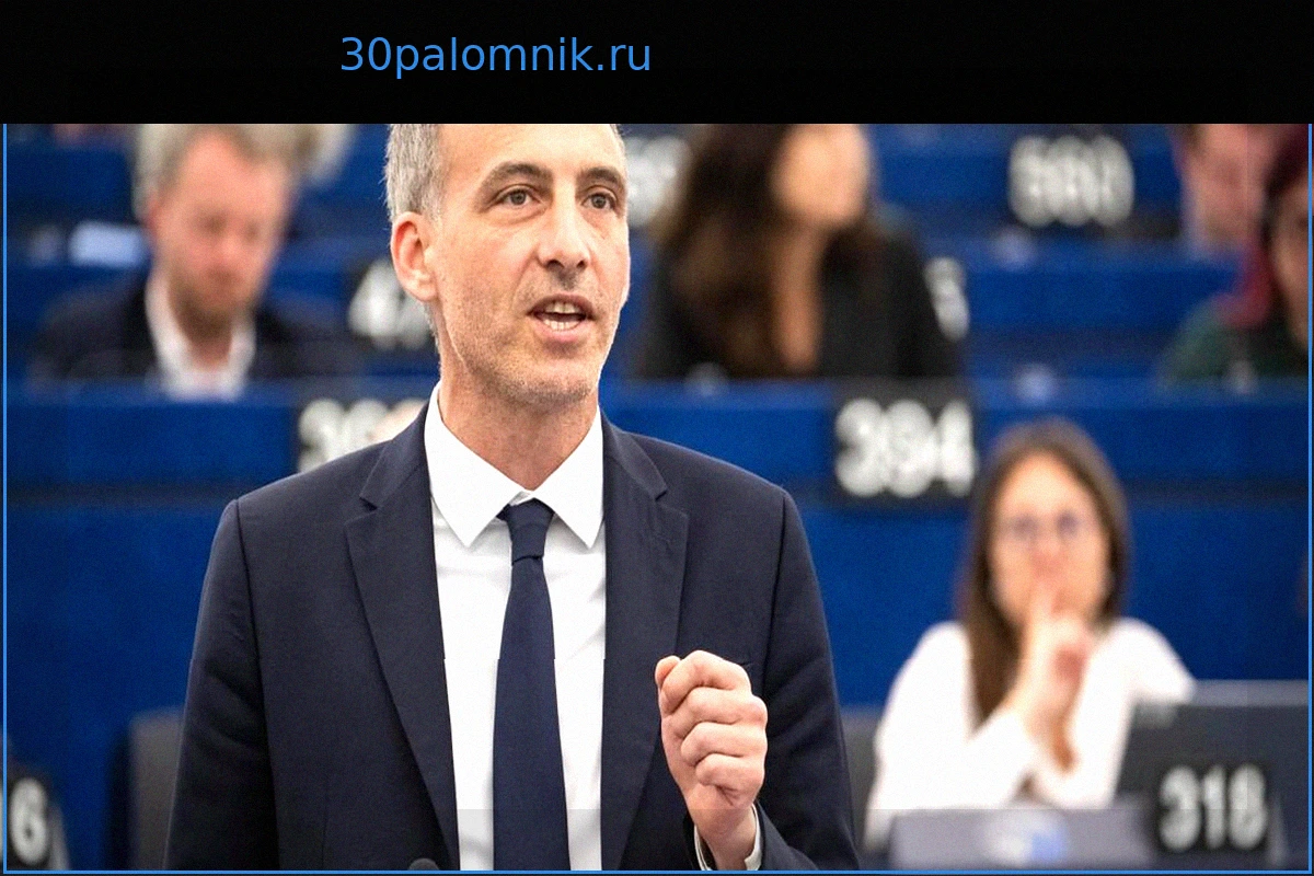 Книга Рафаэля Глюксманна: Первые шаги к национальному образу