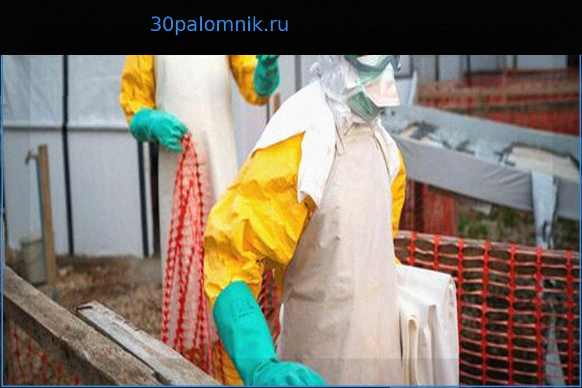Новая вспышка Эболы в Демократической Республике Конго: 246 подозреваемых случаев